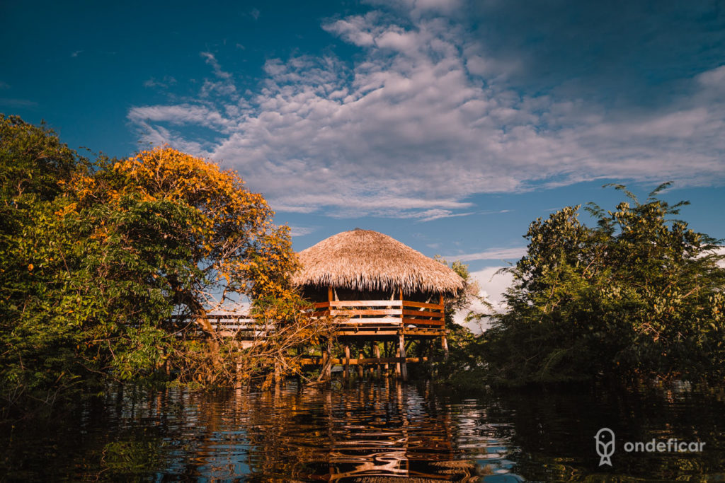 Juma Amazon Lodge: hotel de selva na Amazônia